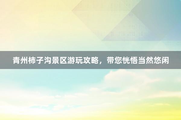 青州柿子沟景区游玩攻略，带您恍悟当然悠闲