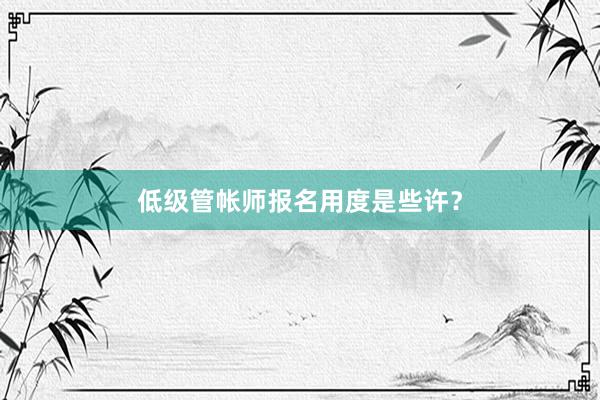 低级管帐师报名用度是些许？
