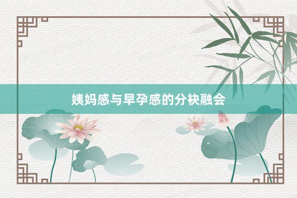 姨妈感与早孕感的分袂融会